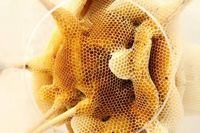 СКУЛЬПТУРА: про митця-бджоляра